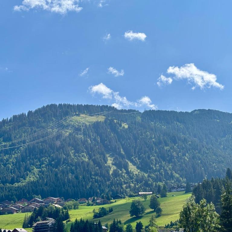 Chalet de la Plane - Chalet - 24