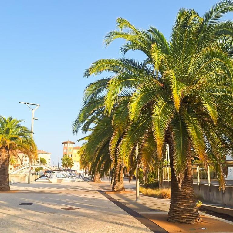 Studio La Cigale by Sur la mer - Monolocale con Balcone - 25