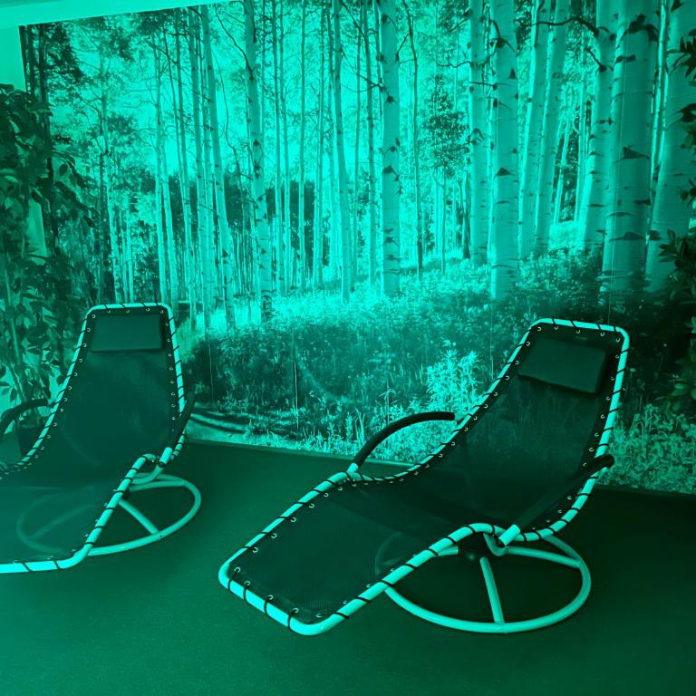 Exklusive FeWo AllgäuStern Steibis mit WLAN Sauna Kamin und Oberstaufen PLUS Card mit SKIPASS - Apartment mit 1 Schlafzimmer - 38
