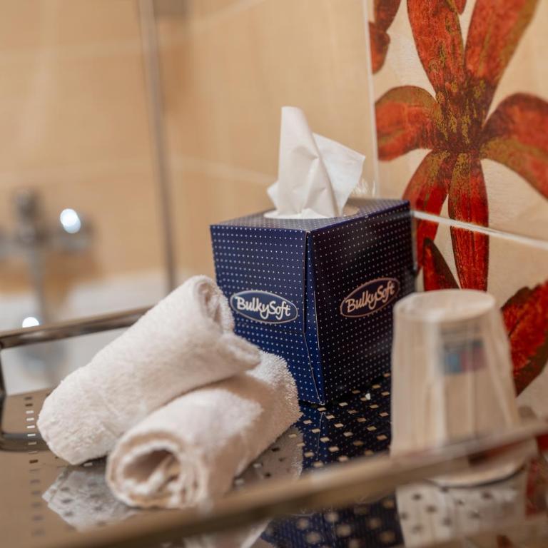 Hôtel Brun - Chambre Lits Jumeaux avec Douche - 4