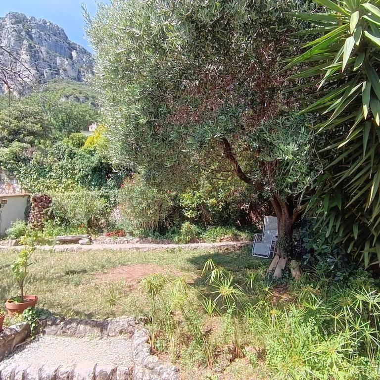 Maison Alkinoos - Jardin vue sur le Baou - Appartement 3 Chambres - 8