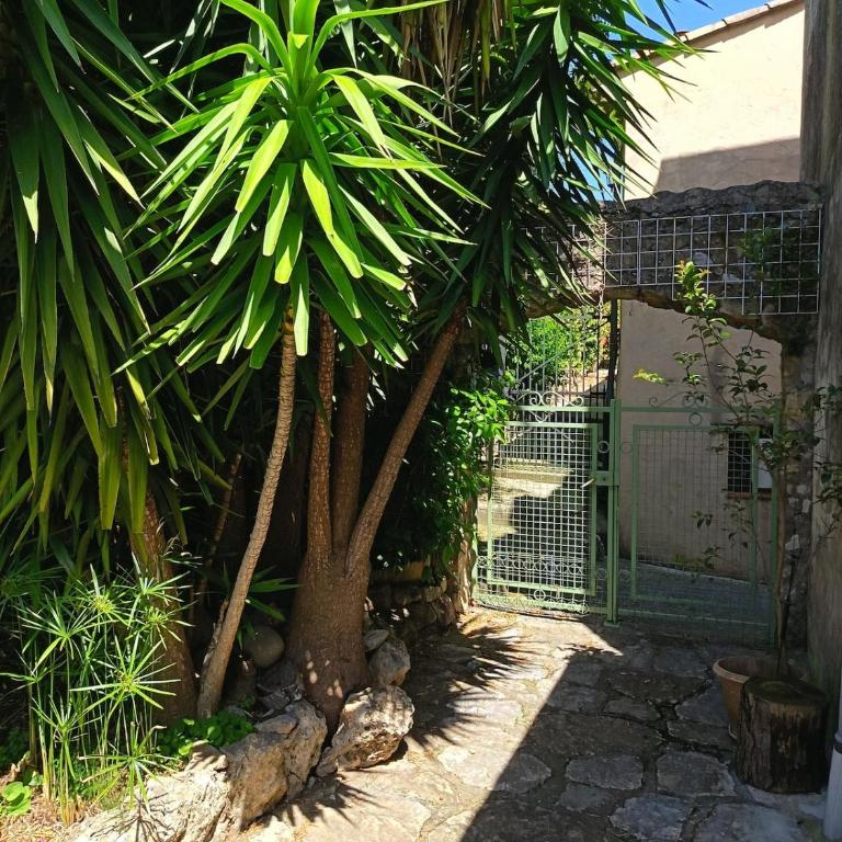 Maison Alkinoos - Jardin vue sur le Baou - Appartement 3 Chambres - 11