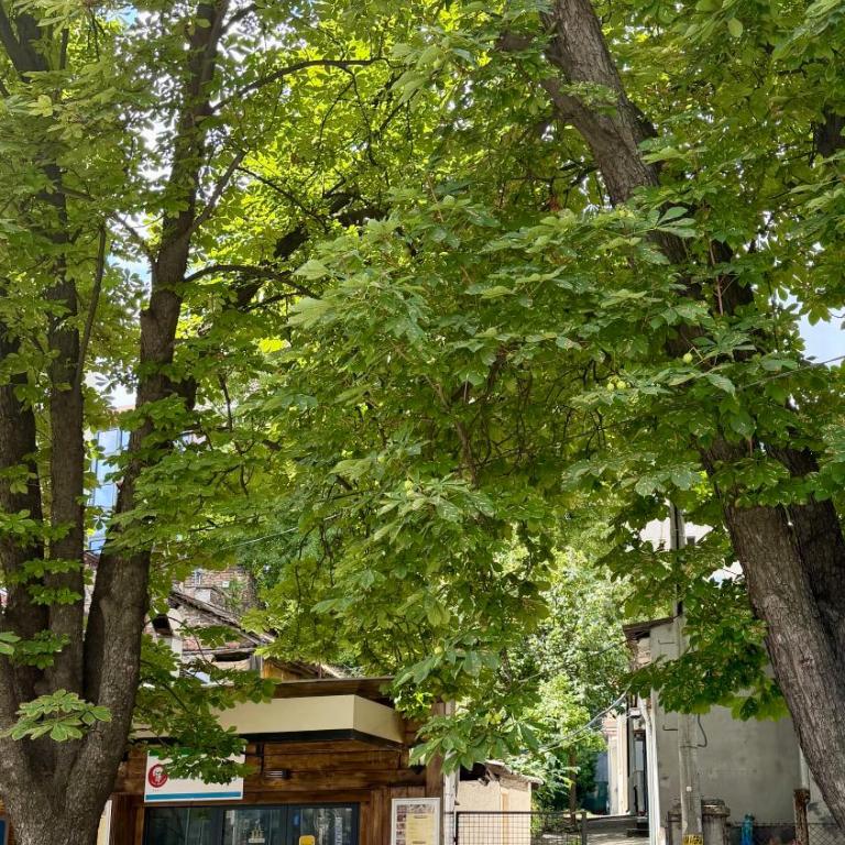 Belgrade Parlament Oasis - Apartment mit 1 Schlafzimmer - 29