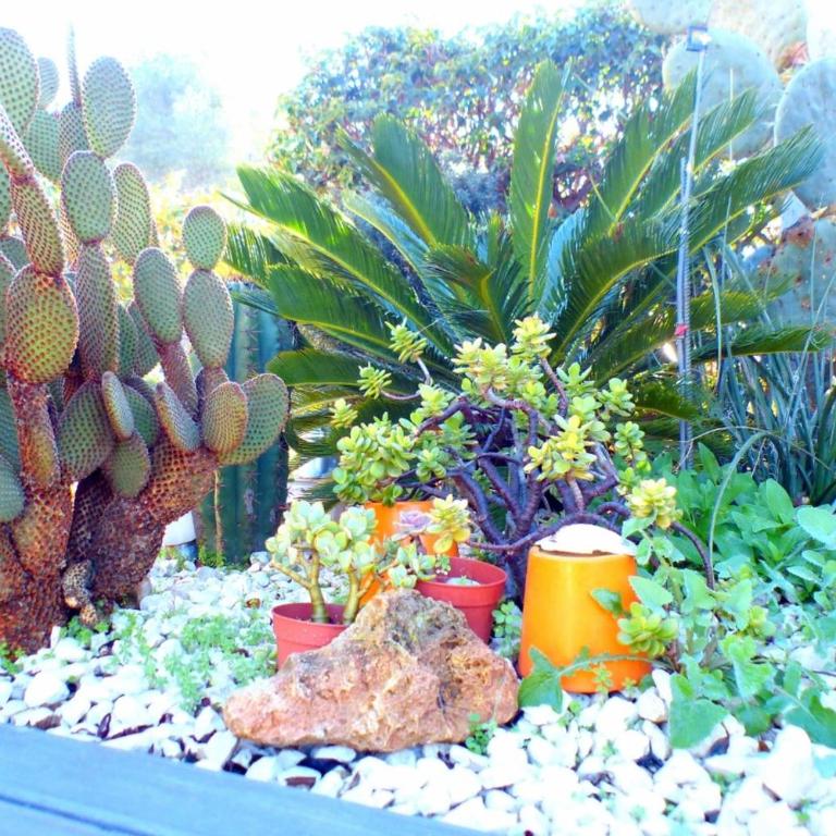 Nice house with private pool - Casa Vacanze - 26