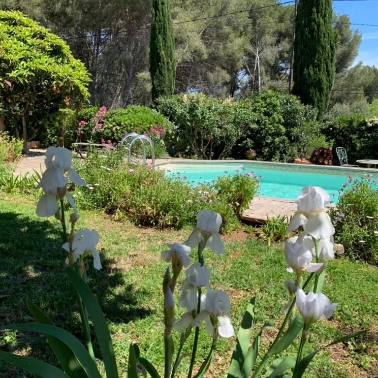 Nice house with private pool - Casa Vacanze - 39