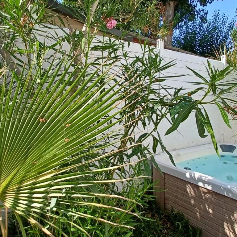 Appartement Jardin et Spa - One-Bedroom Apartment - 5
