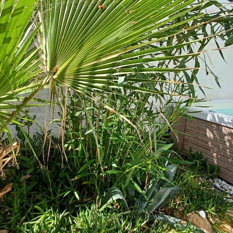 Appartement Jardin et Spa - One-Bedroom Apartment - 45