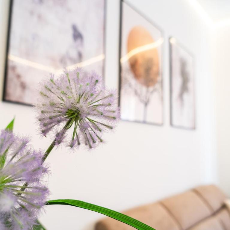 Suite Emmina central apartment in Bologna - Appartamento con 1 Camera da Letto - 2