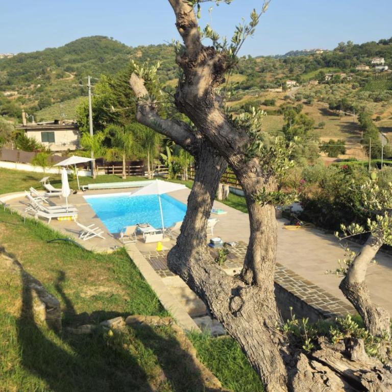 Villa Frascinelle 2 - Appartamento con Vista Giardino - 1