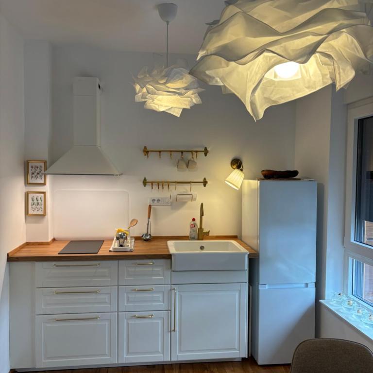 Meda apartman Divcibare Mali Golubac - Apartment mit 1 Schlafzimmer - 11