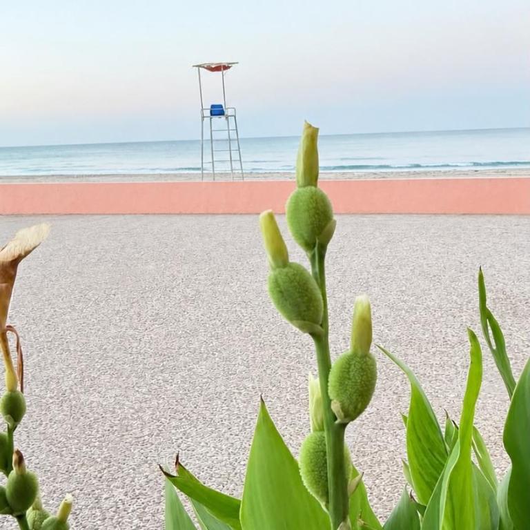 Paraíso Frente al Mar con Hidromasaje Piscina y Minigolf - Apartamento de 2 dormitorios con balcón y vistas al mar - 31