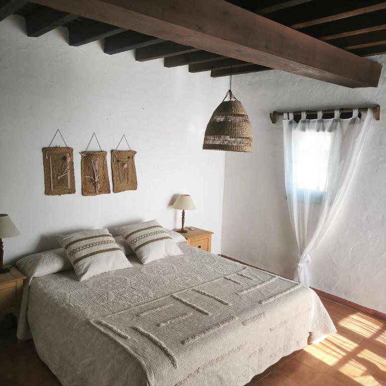 Can Pep Frit - Casa de 4 dormitorios - 16