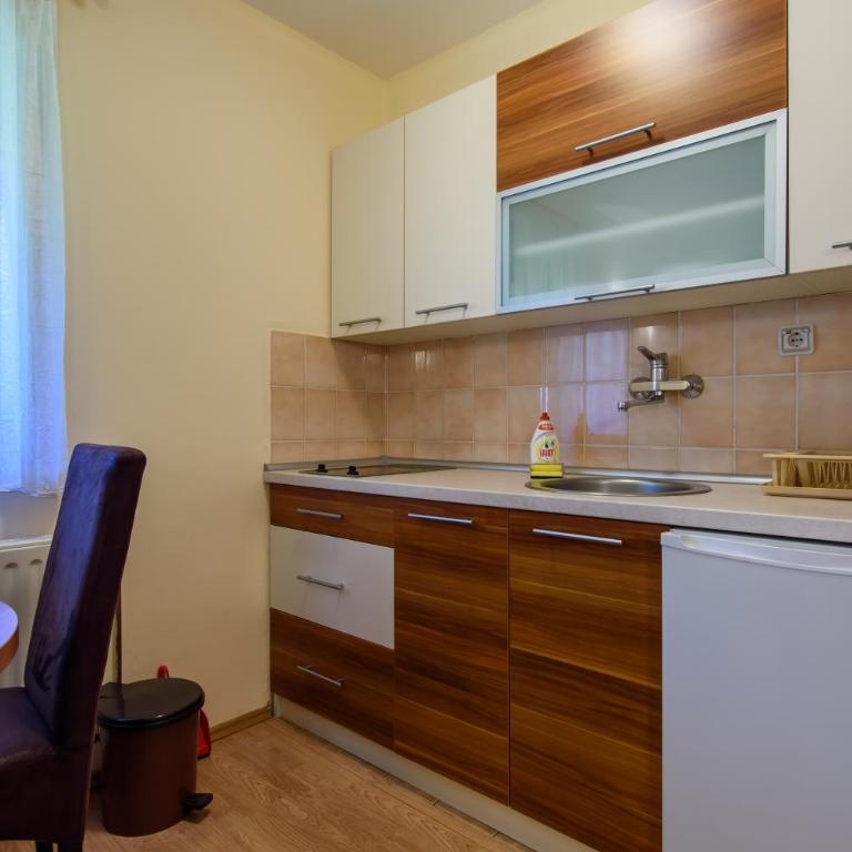 Apartment Vila Simovic - Classic Apartment - 6