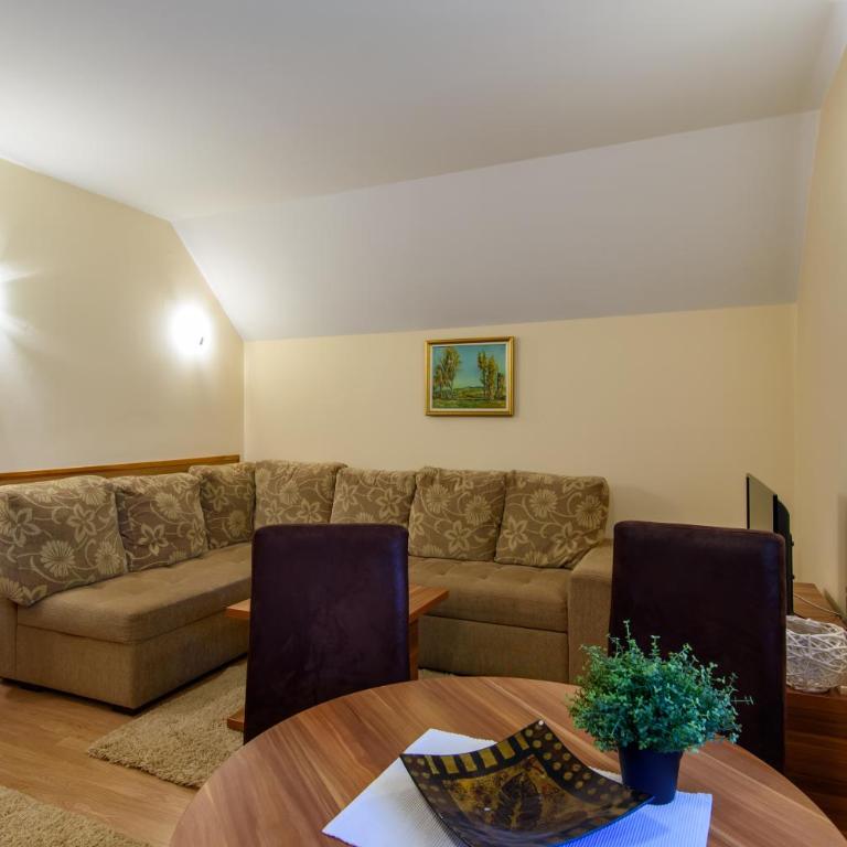 Apartment Vila Simovic - Classic Apartment - 4