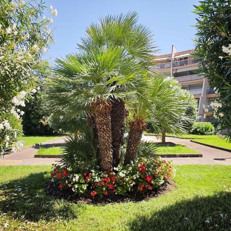 Cannes Marina Studio cosy au calme avec terrasse - Appartement 1 Chambre - 10