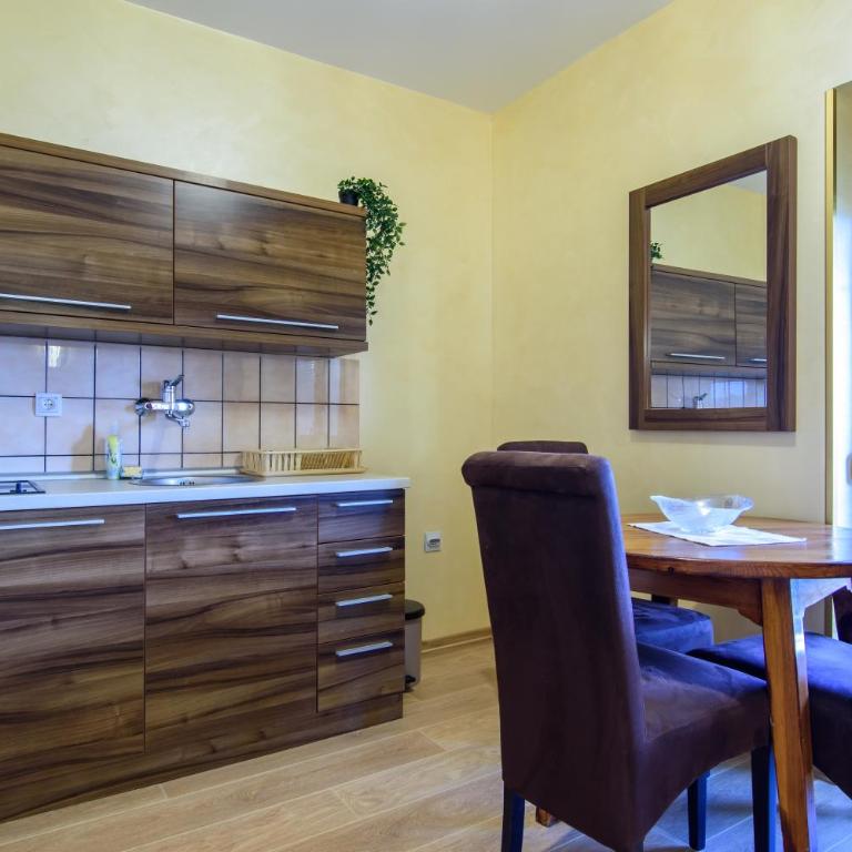Apartment Vila Simovic - Studio mit Terrasse - 7