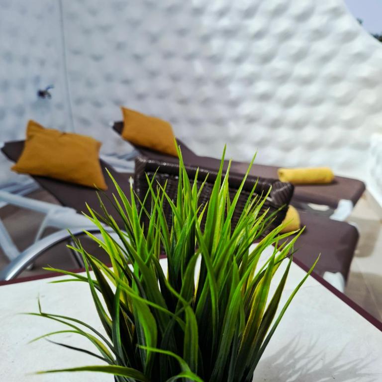 Apartamento Aliciamin - Apartamento de 1 dormitorio - 39