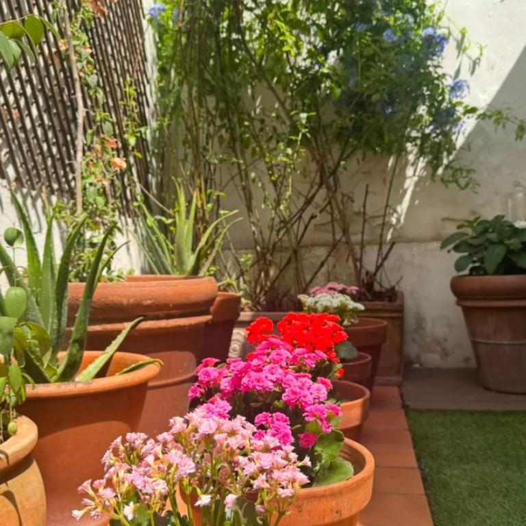 Il Giardino di Ele - Two-Bedroom Apartment - 8