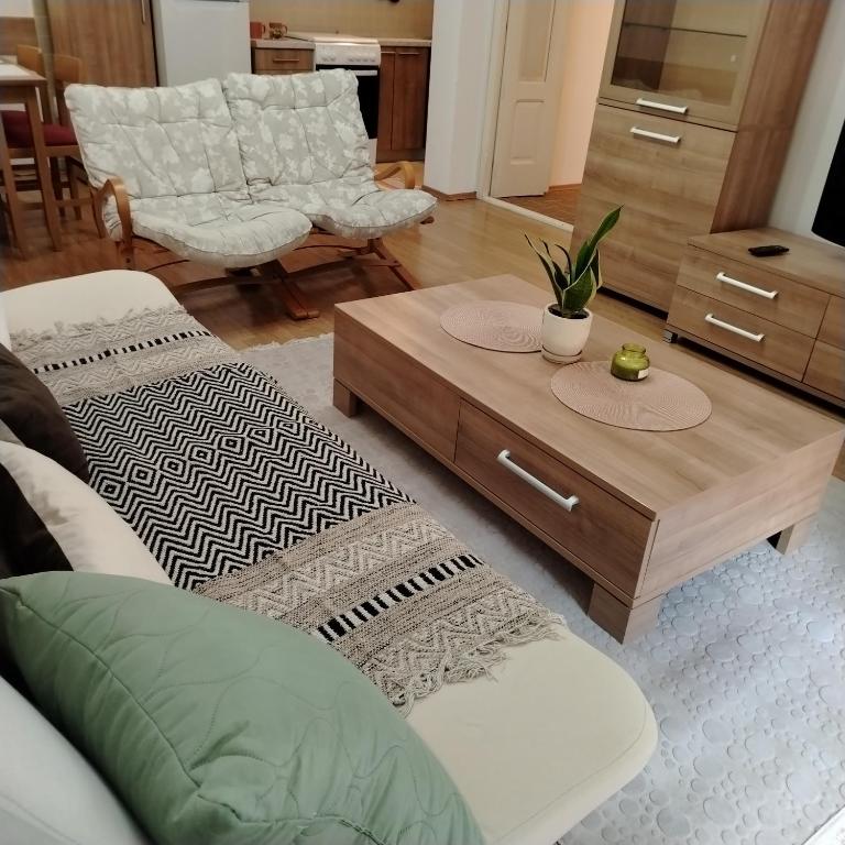 Migun stan Vozdovac - Apartman sa 1 Spavaćom Sobom - 2