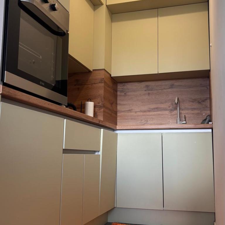 Trebevic Residence Apartment - Free Parking - Apartman sa 1 Spavaćom Sobom - 12