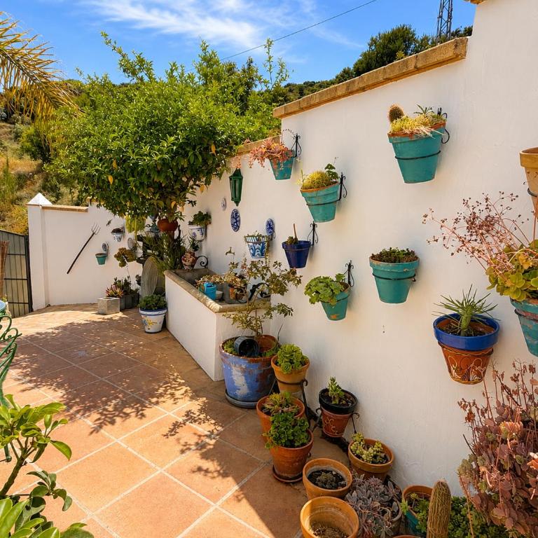 CASA RURAL DE ENSUEÑO - Chalet - 25