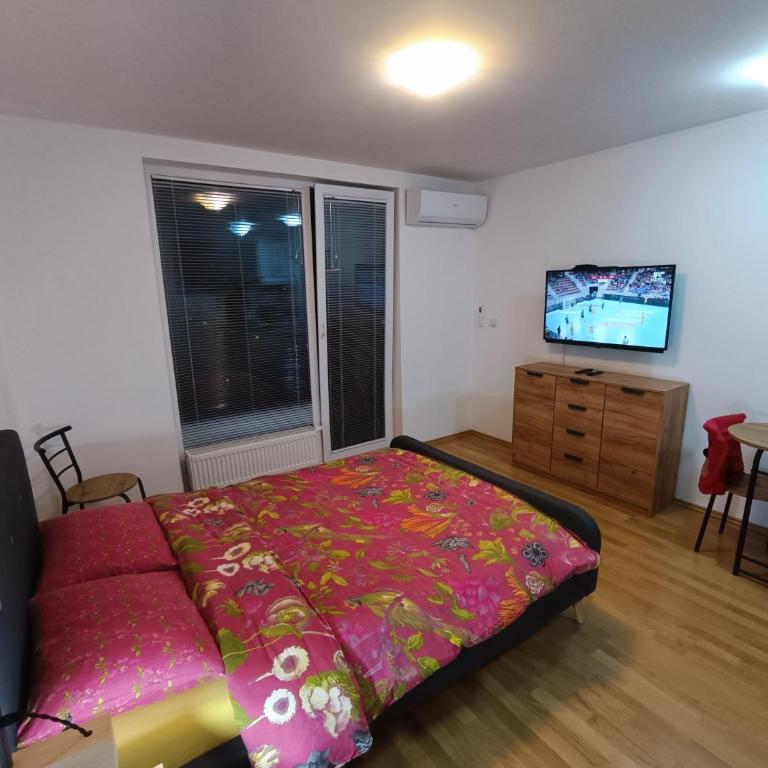 Sima's Apartment - Apartman sa 1 Spavaćom Sobom - 5