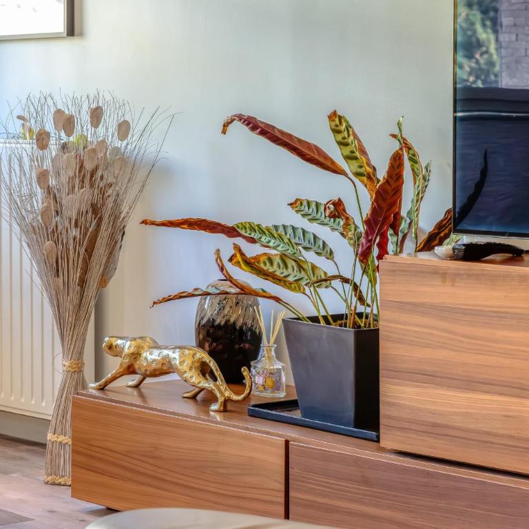 ArchiDuck votre appartement maison terrasse parking - Appartamento - 37