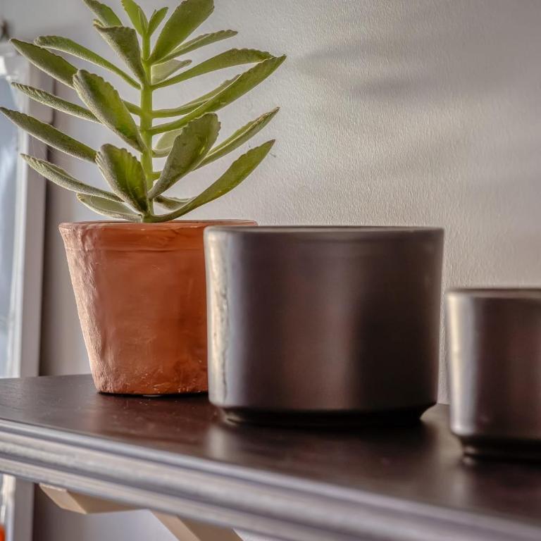 ArchiDuck votre appartement maison terrasse parking - Appartamento - 38