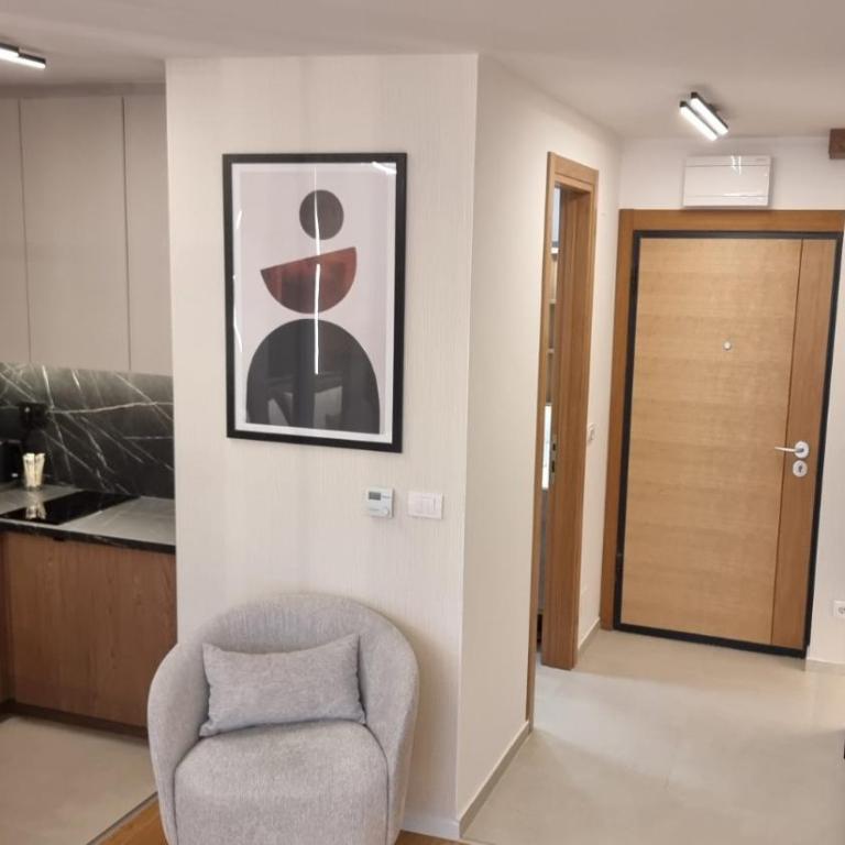 URBAN Studio Apartment Istočno Sarajevo - Apartman sa 1 Spavaćom Sobom - 19