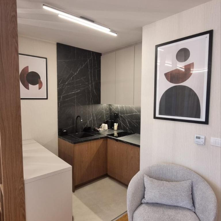 URBAN Studio Apartment Istočno Sarajevo - Apartman sa 1 Spavaćom Sobom - 20
