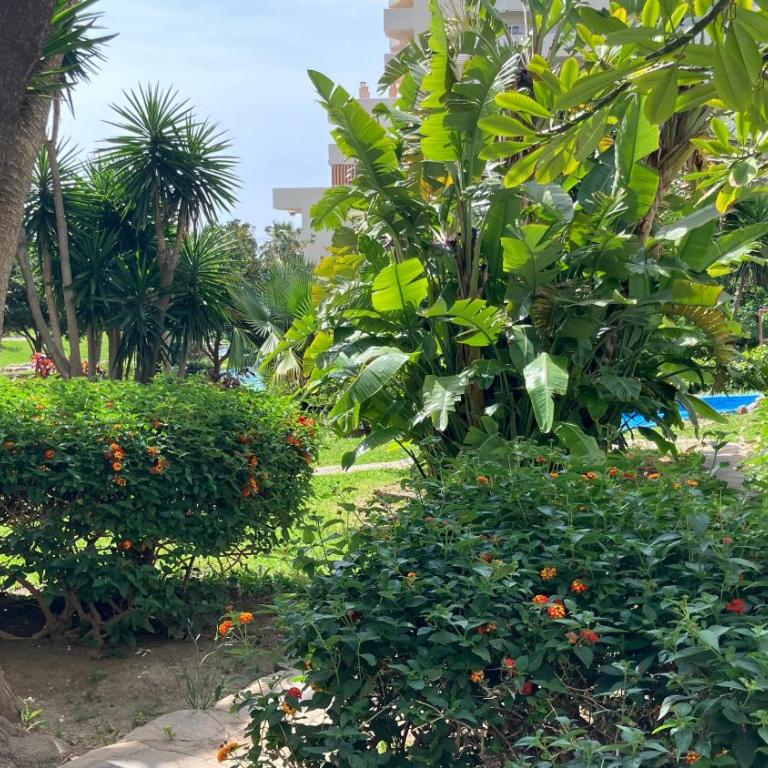 BenalBeach Zafiro Spacious 46m2 with Garden & Side Sea View - Studio-Apartment - 38