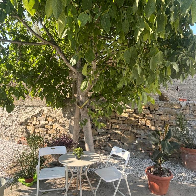 Azure sea view - Appartamento con 1 Camera da Letto - 26