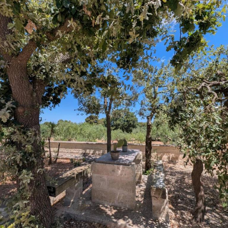 Da Giò - Casa Vacanze a Locorotondo - Casa Vacanze - 4