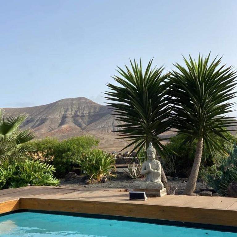 Studio Aloha - Estudio con vistas a las montañas - 36