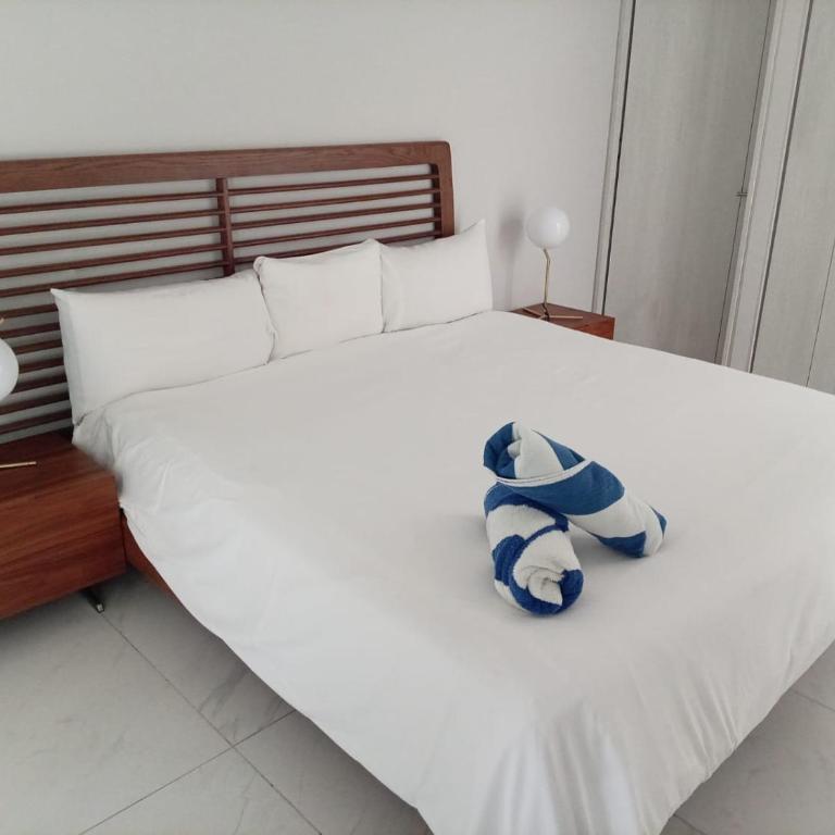Park Life Nautico - Apartamento Estándar de 3 dormitorios - 11