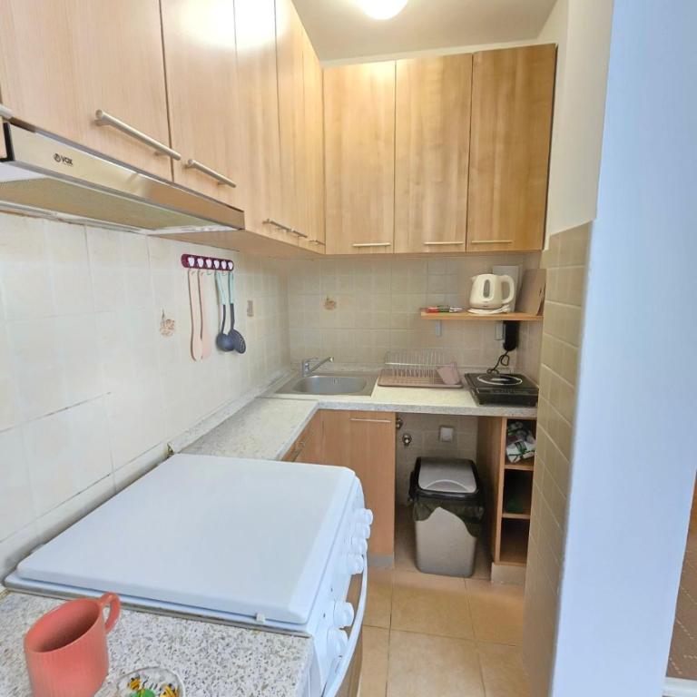 Migun stan Vozdovac - Apartman sa 1 Spavaćom Sobom - 4