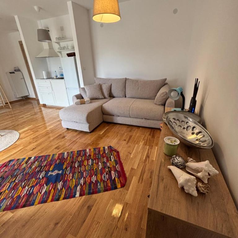 LIJA apartman Divcibare - Apartment mit 1 Schlafzimmer - 1