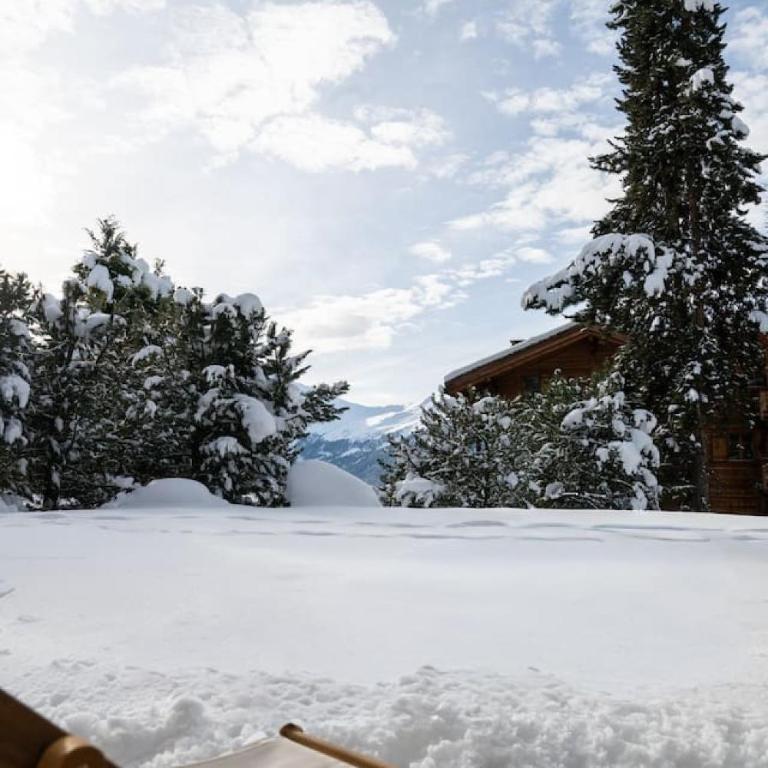 Appartement cosy alpin terrasse parking Verbier - Appartement - 20