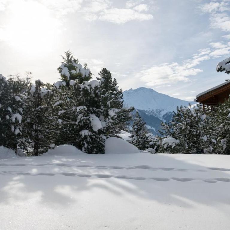 Appartement cosy alpin terrasse parking Verbier - Appartement - 21