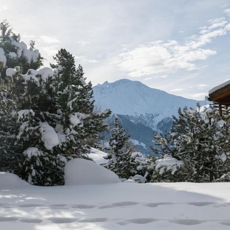 Appartement cosy alpin terrasse parking Verbier - Appartement - 25
