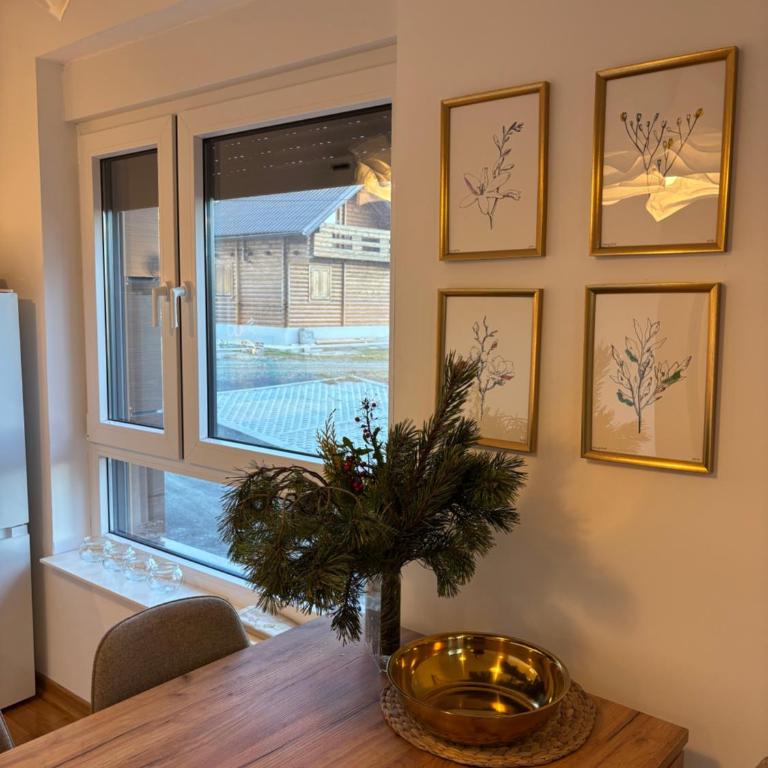 Meda apartman Divcibare Mali Golubac - Apartment mit 1 Schlafzimmer - 6