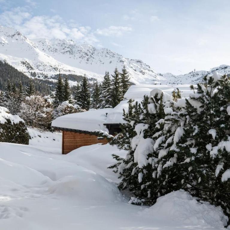 Appartement cosy alpin terrasse parking Verbier - Appartement - 45