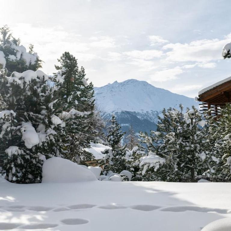 Appartement cosy alpin terrasse parking Verbier - Appartement - 46