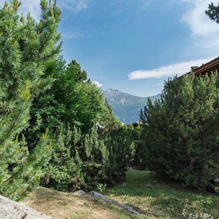Appartement cosy alpin terrasse parking Verbier - Appartement - 49