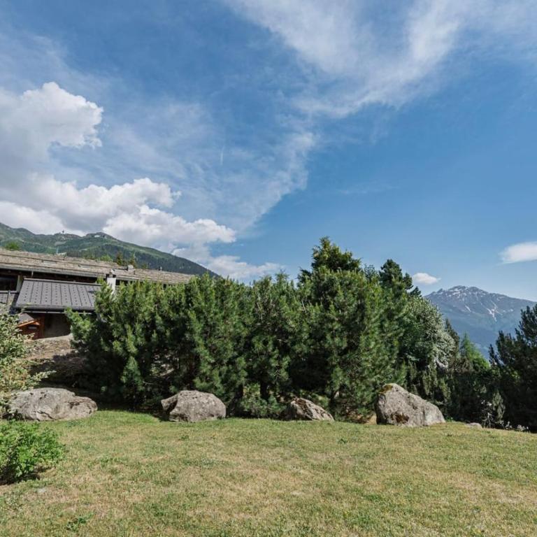 Appartement cosy alpin terrasse parking Verbier - Appartement - 52