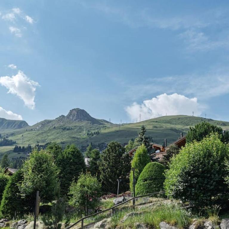 Appartement cosy alpin terrasse parking Verbier - Appartement - 53
