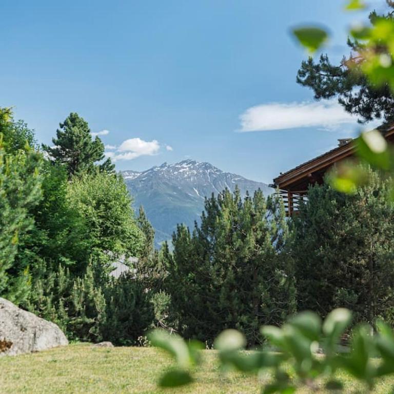 Appartement cosy alpin terrasse parking Verbier - Appartement - 54