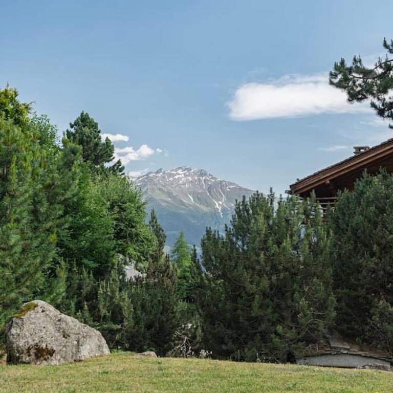 Appartement cosy alpin terrasse parking Verbier - Appartement - 59