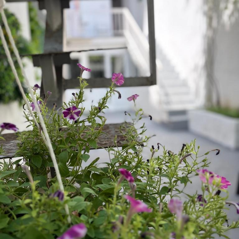 Best for Walkers and Motorcyclists 30 Seconds to the Old Bridge - Appartement 1 Chambre - 23