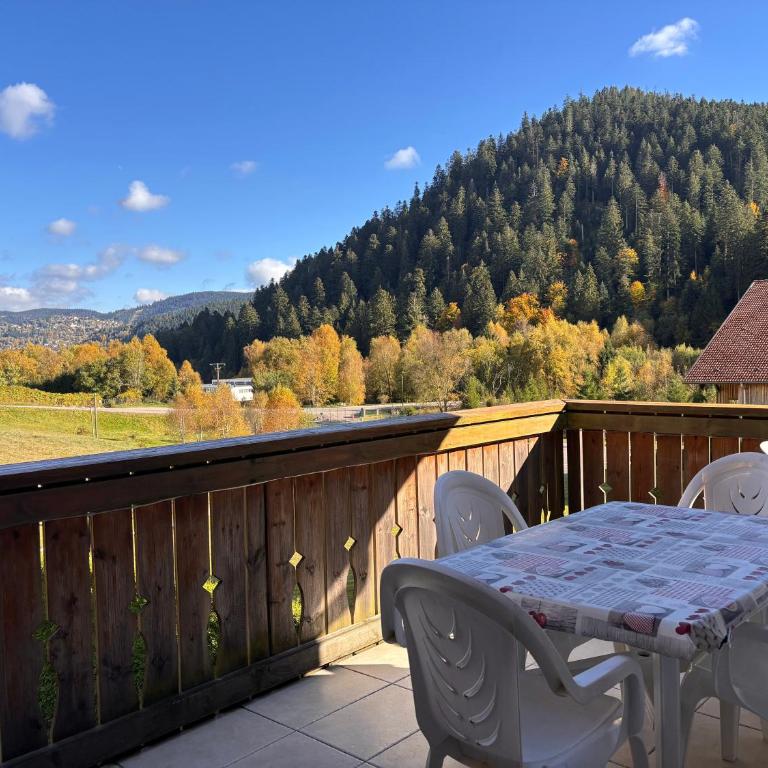 Appartement Coup de Cœur à Gérardmer - Appartamento - 15